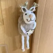 まろんの画像
