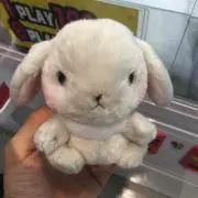 ヒッキー
