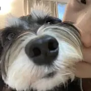 ミミーぽん