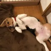 takの画像