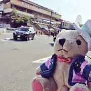 ねここ(発送は土日になります)の画像