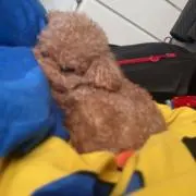 バァー　値下げ交渉どんどんください