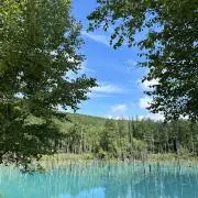 りらの画像