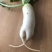 バルンバルンの画像