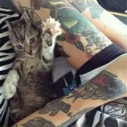 yuwaの画像