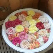 たかびー