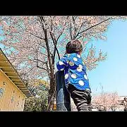 はるの画像