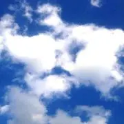 ⭐︎Green⭐︎ プロフ一読くださいの画像