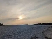 カンナの画像