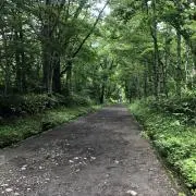 klinaの画像