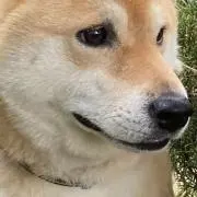 マシュマロチョコ