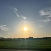 ytk_11の画像