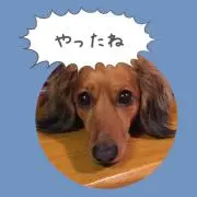 ゆきんこ