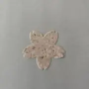Sakuraの画像