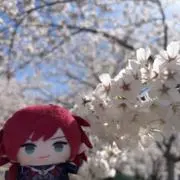 ゆずの画像