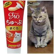 なおたろうの画像