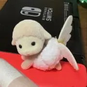 暦◎8/17まで発送不可の画像