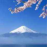 tarouの画像