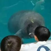 yanaの画像