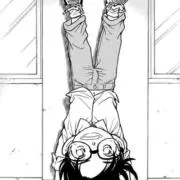 たんぽぽの画像