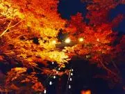 Kei29の画像
