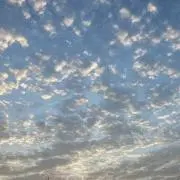 ゆずの画像