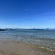 ななの画像