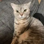 とあたん プロフ必読