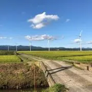 しろしの画像
