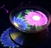 satona2427の画像