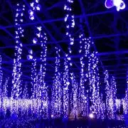 ハルカの画像