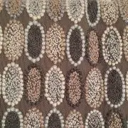 かっちゃの画像