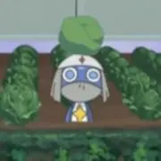 mimiの画像
