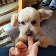 なおたも