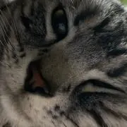 イチロク