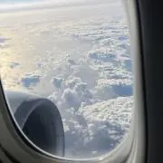 MTM 発送は週末になる場合がありますの画像