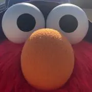 もにゅこの画像