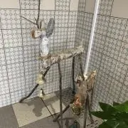 ヒロの画像