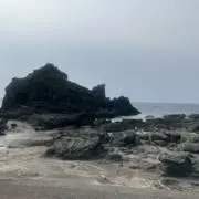 TNの画像
