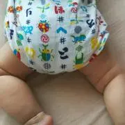 EBI-TORIの画像