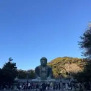 Taizoの画像
