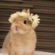まみ