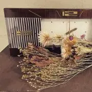 st∞【26日〜29日発送不可】の画像