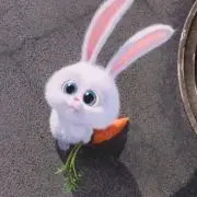 すの画像