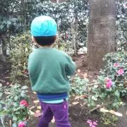 ぐりの画像
