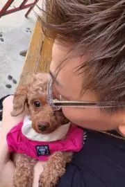 ろきの画像