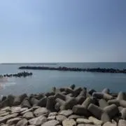 ヒロの画像