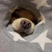 みくの画像