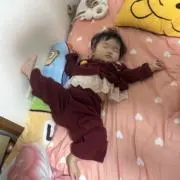 Momoちゃんの画像