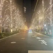 ハシビロコウの画像